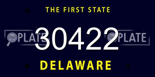 30422 Delaware License Plate