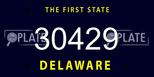 30429 Delaware License Plate