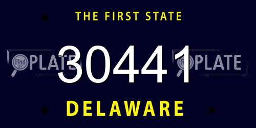 30441 Delaware License Plate