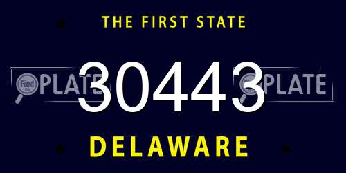 30443 Delaware License Plate