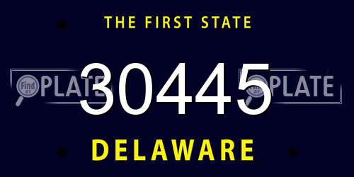 30445 Delaware License Plate