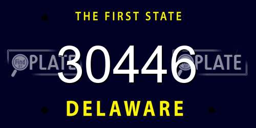 30446 Delaware License Plate