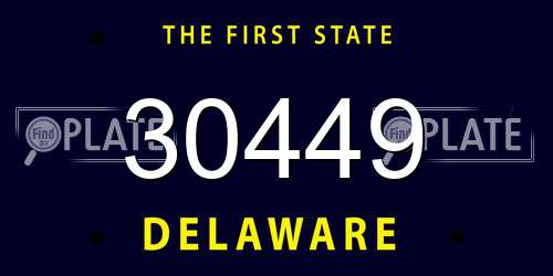 30449 Delaware License Plate