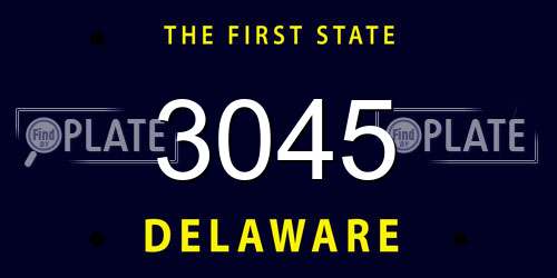 3045 Delaware License Plate