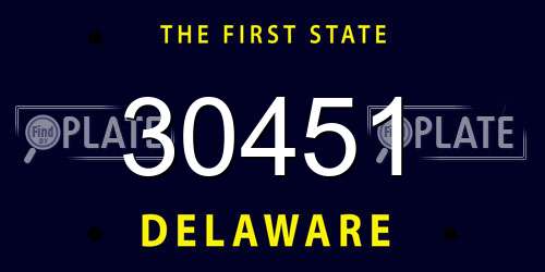 30451 Delaware License Plate