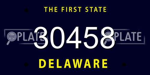 30458 Delaware License Plate