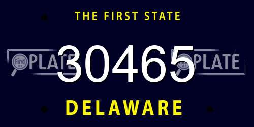 30465 Delaware License Plate