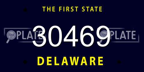 30469 Delaware License Plate