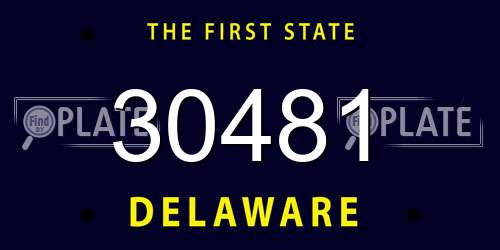 30481 Delaware License Plate