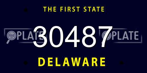 30487 Delaware License Plate