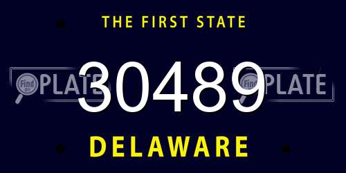 30489 Delaware License Plate