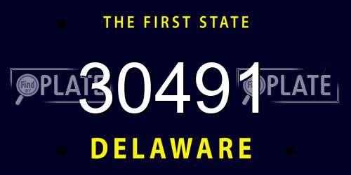 30491 Delaware License Plate
