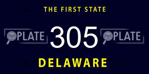 305 Delaware License Plate