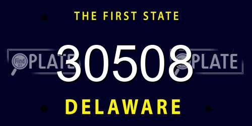 30508 Delaware License Plate