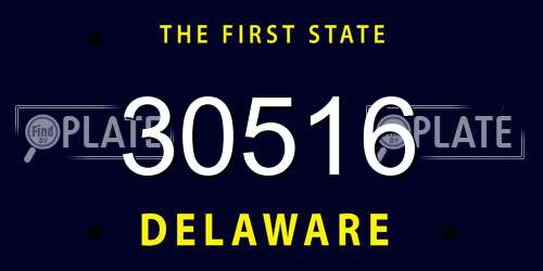 30516 Delaware License Plate
