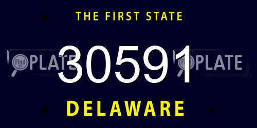 30591 Delaware License Plate