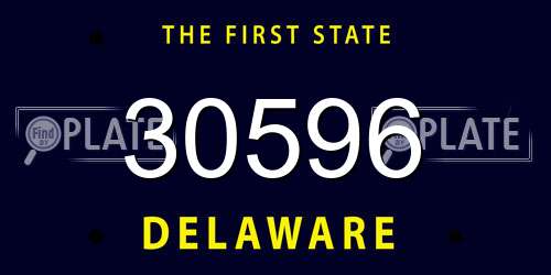 30596 Delaware License Plate
