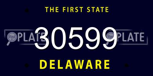 30599 Delaware License Plate