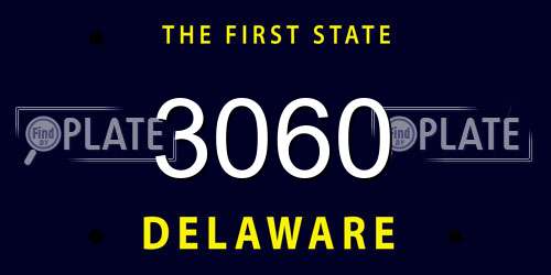 3060 Delaware License Plate