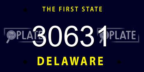 30631 Delaware License Plate