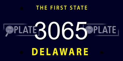 3065 Delaware License Plate