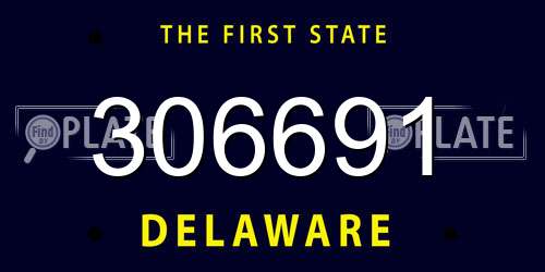 306691 Delaware License Plate