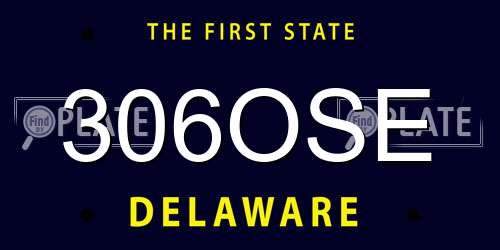 306OSE Delaware License Plate