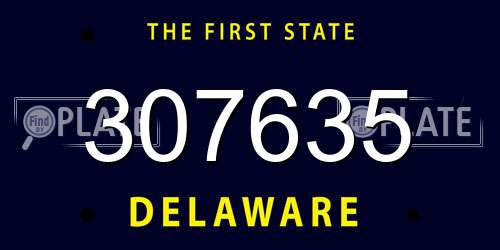 307635 Delaware License Plate