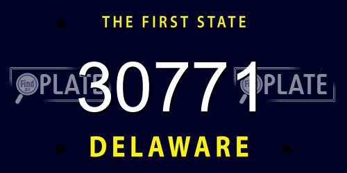 30771 Delaware License Plate