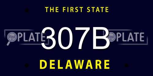 307B Delaware License Plate