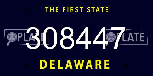308447 Delaware License Plate