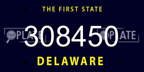 308450 Delaware License Plate