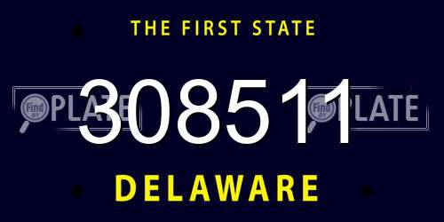 308511 Delaware License Plate