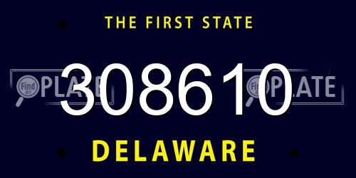 308610 Delaware License Plate