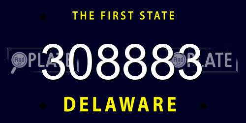 308883 Delaware License Plate