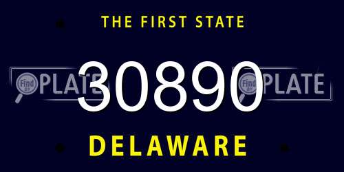 30890 Delaware License Plate