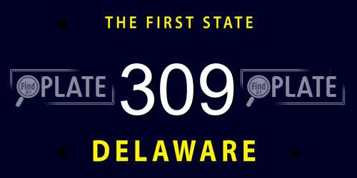 309 Delaware License Plate