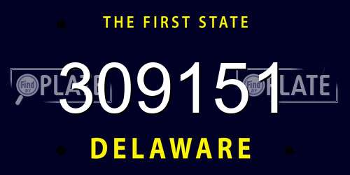 309151 Delaware License Plate