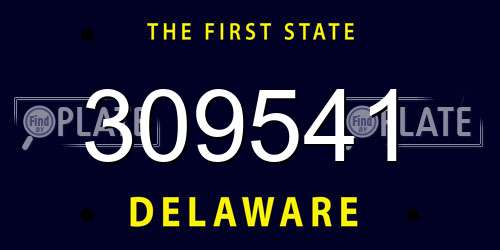 309541 Delaware License Plate