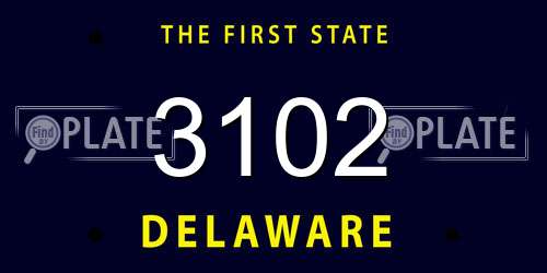 3102 Delaware License Plate