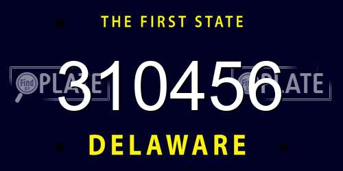 310456 Delaware License Plate