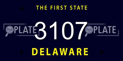 3107 Delaware License Plate