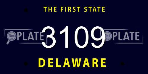 3109 Delaware License Plate