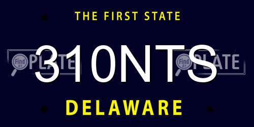310NTS Delaware License Plate