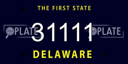 31111 Delaware License Plate