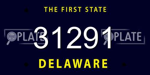 31291 Delaware License Plate