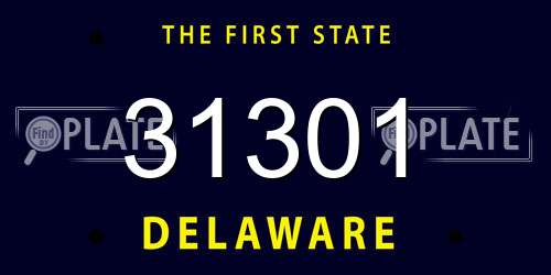 31301 Delaware License Plate
