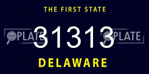 31313 Delaware License Plate