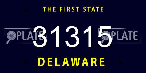 31315 Delaware License Plate