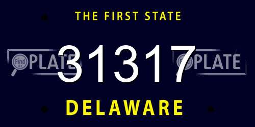 31317 Delaware License Plate